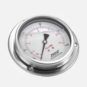 100mm Vibration Resistant Bourdon Tube Axial Mounted Diaphragm Pressure Gauge