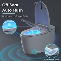 Toilette intelligente OEM/ODM en gros avec siège chauffant et chasse d'eau automatique, bidet électrique monobloc moderne pour hôtels de luxe