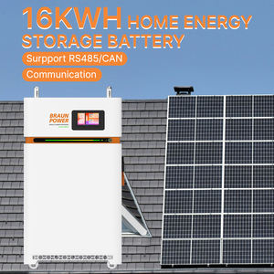 <span class=keywords><strong>Pl</strong></span> Eu Stock Braun Power 51.2V 314ah 16kwh Lifepo4 Mobile Lifepo4 Accu Ess 2a Active Balancer Voor Thuis Energieopslag - Product Image 2