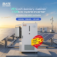Système de stockage d'énergie MATE à batterie lithium-ion haute tension 261 kWh, refroidissement liquide avec onduleurs solaires 125 kW pour centrale photovoltaïque