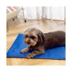 Tapis rafraîchissant en gel pour animaux de compagnie, coussin d'été imperméable et confortable, lit pour chien multifonctionnel personnalisé - Product Image 1