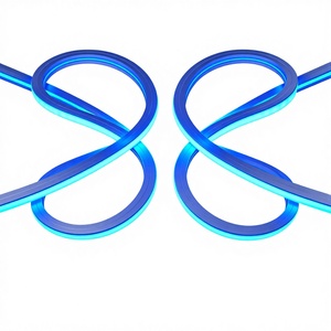 10x10m RGBW LED Neon Strip DC12V IP65 Outdoor Silicone Double-Layer Coating CRI80 Nightclub Lighting CE - Product Image 1