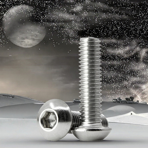 Tornillo de Placa Fija de Acero Inoxidable con Cabeza Redonda Torx y Diseño Resistente al Desgaste para Automóviles que Utilizan el Sistema Métrico - Product Image 3