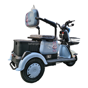 Services personnalisés, transport de marchandises, moto électrique pour passagers, tricycle électrique à <span class=keywords><strong>3</strong></span> <span class=keywords><strong>roues</strong></span> pour adultes, grande capacité de batterie - Product Image 2