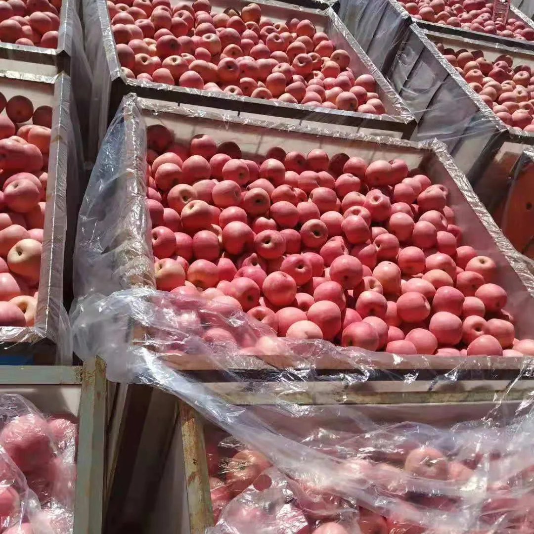 Nieuwste Gewas Lage Prijs Verse Rode Fuji Appelfruit Rode Zoete Fuji Appel