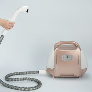 Máquina de Limpieza a Vapor de Alta Temperatura, Limpiador de Telas Ajustable de 6 Velocidades para Alfombras, Cortinas y <span class=keywords><strong>Tapicería</strong></span>, Certificado CE - Product Image 2