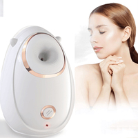 Vaporisateur facial portable, vaporisateur facial nano-ionique, chauffe rapidement en 30 secondes, buse anti-éclaboussures, lampe UV