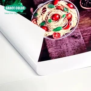 3m Free samples Vinyl Film for Digital Printing