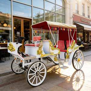 Chariot de tourisme à chevaux en fer pour excursions royales en plein air - Product Image 5