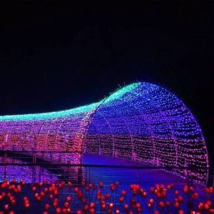 New arrivals for 2026 Custom Christmas Tunnel Lights Branded Color LED Passage for Retail Campaign Event Rental and Festival - Product Image 1