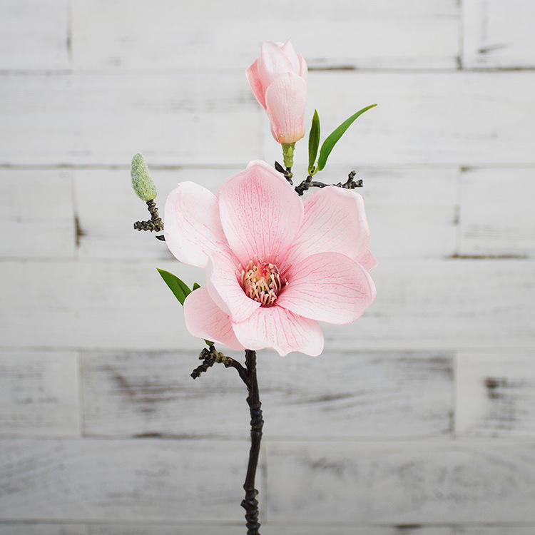 Style1 สีชมพู