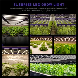 Seednleaf 1000W All Stages Of Plant Growth Led Grow Light High PPFD Full Spectrum Grow Lamps For Indoor Plants