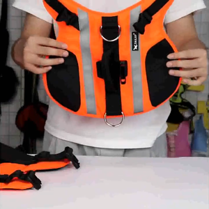 Commercio all'ingrosso di costumi da bagno e giubbotti di salvataggio per cani per animali domestici - Product Image 5