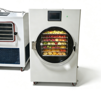 Batch Mini Vriesdroger Kleine Vacuüm Vriesdroger Voedsel Lyofilisator Kleine Vriesdroogmachine