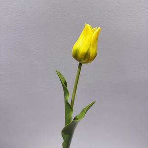 Bouquet de tulipes artificielles Meng Jie 30cm-100cm en caoutchouc souple, réaliste, pour décoration intérieure, tige unique, tête de fleur et bourgeon - Product Image 2