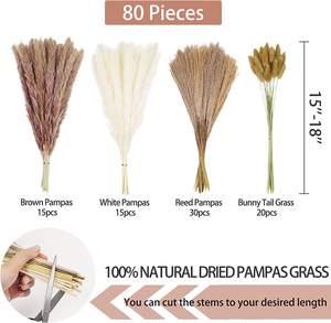 Bouquet de Fleurs Séchées d'Herbe de la Pampa et de Roseaux Mixtes de Style Bohème pour Décoration de <span class=keywords><strong>Maison</strong></span>, Bureau et Magasin - Product Image 3