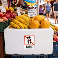 Etiquetas Personalizadas para Cadena de Frío a Baja Temperatura para Empaque de Alimentos Congelados, Almacenamiento en Congelador y Seguimiento Logístico