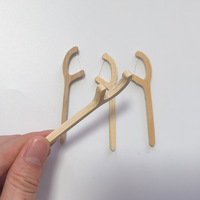 Cure-dents écologiques biodégradables et compostables, cure-dents réutilisables pour le nettoyage des dents, fil dentaire