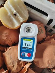 Tươi qiuyue lê từ Trung Quốc ngon ngọt và giòn trái cây trực tiếp Xuất Khẩu Nhà cung cấp chất lượng cao - Product Image 4