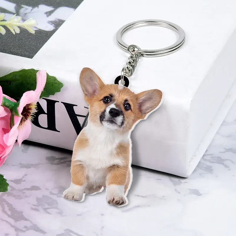 Tùy Chỉnh Keychain Với Hình Ảnh Tùy Chỉnh Dog Memorial Cát Tưởng Niệm Keychain Quà Tặng Cho Người Yêu Vật Nuôi Cá Nhân Vòng Chìa Khóa