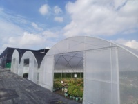 Serre tunnel agricole monopente à vendre, serre tunnel agricole commerciale pour plantes
