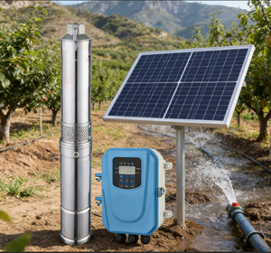 Pompe solaire submersible QY 4JC6.5-65-D48/550, 825W, hauteur de refoulement 65m, débit 6,5m³/H |   MPPT automatique et faible bruit |   Approvisionnement en eau pour les foyers - Product Image 1