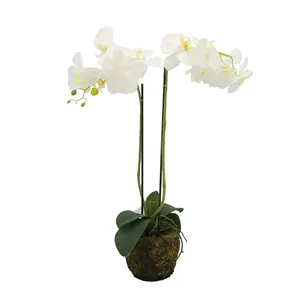 Toptan yapay orkide Phalaenopsis yapay küçük beyaz bitki dekorasyon için