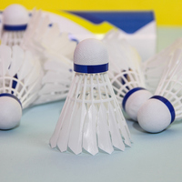 Volant de badminton professionnel en nylon léger avec plumes simulées pour l'entraînement et le jeu en extérieur