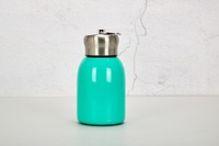 Thermos à double paroi personnalisé 2024, 300 ml, petit et portable, en acier inoxydable, bouteille d'eau isolée pour les voyages