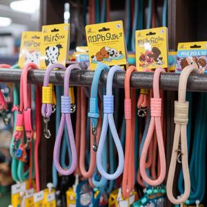 चलने और प्रशिक्षण के लिए कुत्तों के लिए गर्म बिक्री नायलॉन फैशनेबल पालतू कॉलर और पट्टा - Product Image 2