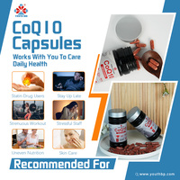 Coenzyme Q10 et Mélange de Riz Rouge Fermenté pour l'Harmonie Interne des Adultes Matures – Disponible en Marque Blanche ODM pour l'Exportation Mondiale