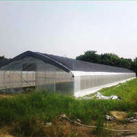 Serre tunnel agricole pour semis
