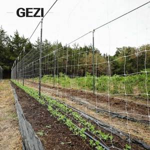 Tự làm nhà kính vườn nông nghiệp vườn Côn Trùng-Proof thời tiết Nylon UV kháng hỗ trợ thực vật leo lưới mắt cáo Crop Net - Product Image 5