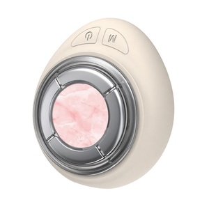 <b>Electric</b> Beauty <b>Instrument</b> Household Microcurrent Photon Rejuvenation <b>Instrument</b> Facial Essence Introduction <b>Instrument</b> - Product Image 2