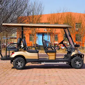 Carrito de golf de calidad de color personalizado, Buggy de caza con batería de litio, carrito de golf eléctrico de nueva energía