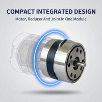 Motor Tangan Robot 12-17mm Motor DC Mikro Tanpa Sikat DC 24V 1W 3000RPM untuk Aktuator Sendi Jari yang Lincah
