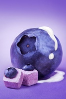 ZHONGBAO Top Grade Gedroogde Zoete Blauwe Bosbessen Groothandel Fruit & Groente Snack 30g Bulk Groothandel NIEUW