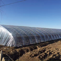 Film pour serre tunnel agricole à haute transmission
