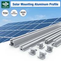 Perfil de Extrusión de Aluminio LIANGYIN 6061 con Tratamiento de Superficie Personalizado para Sistemas de Ventanas y Muros Cortina Arquitectónicos ISO9001