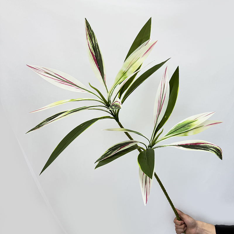 White edge and green