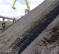 Grille de base en géogrille HDPE OEM personnalisée, haute résistance et tenacité, pour la construction routière, les allées et les pelouses