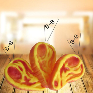 Juguete para Perro de PVC con Sonido, Sabor a Carne, 10x6x3cm, para Entrenamiento, Uso en Interiores - Product Image 1