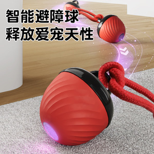 Jouet transfrontalier pour animaux de compagnie, balle sonore pour chien, électrique, réveil intelligent, résistant aux morsures, jouet à mâcher écologique, jouet pour chien - Product Image 4