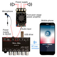 WUZHI AUDIO DAM H1 Karaoke Reverb Board Dispositivo de efecto de escenario frontal Mac Micrófono KTV Cantando con BT USB Módulo de sonido de decodificación