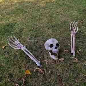 Decoraciones de Plástico para Jardín, Cuerpo Humano Animado Espeluznante, Mr. Bones, Decoración de Fantasma, Esqueleto de Halloween - Product Image 1