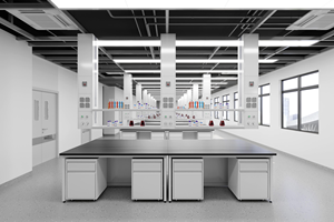 Estación de Trabajo Modular para Equipos de Laboratorio, Muebles de Laboratorio Personalizados, Mesa de Pruebas, Banco de Laboratorio de Acero con Accesorios - Product Image 6