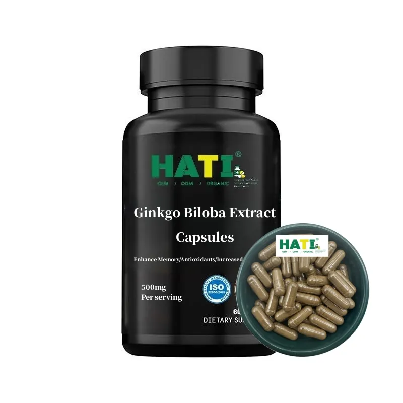 Bulk OEM High Quality Enhance Memory 500mg Ginkgo Biloba Extract Capsules
