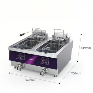 Hot bán 21L + 21L thép không gỉ hai lớp Nồi chiên điện cho khoai tây chiên Gà Thịt nướng và thịt lợn Chops - Product Image 1