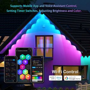 Twinklight giáng sinh điểm ánh sáng trang trí thông minh điều khiển đầy màu sắc phổ biến vĩnh viễn <span class=keywords><strong>LED</strong></span> Pixel boule Lumineuse exterieur - Product Image 2