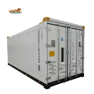 DNV 2.7-1 Standard Offshore Reefer Container 20ft